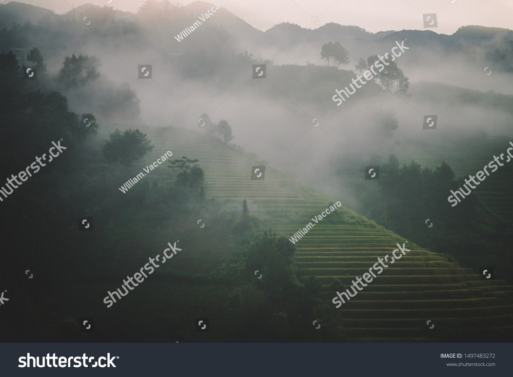 Ruộng bậc thang Tây Bắc MRBT-018